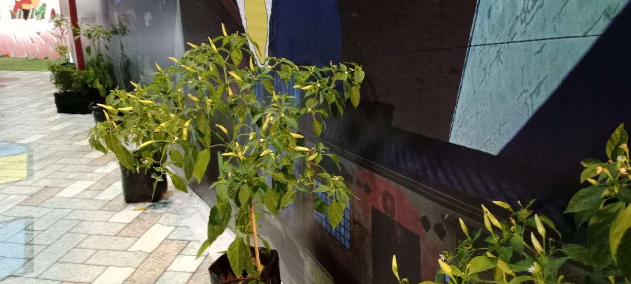 WhatsApp Image 2024 07 27 at 01 08 11